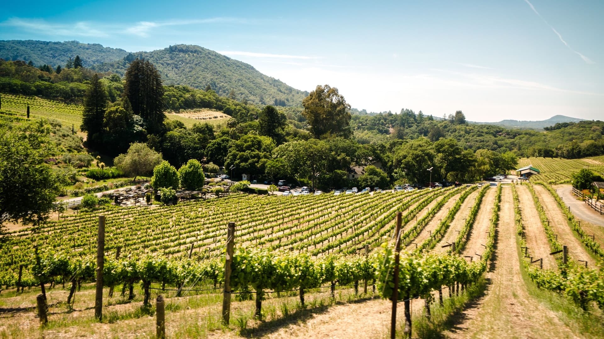 Sonoma