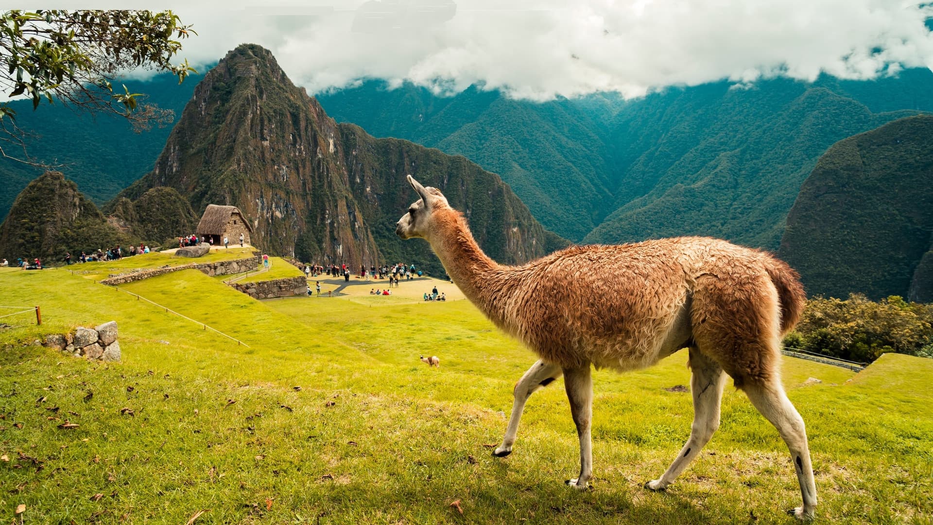 Peru