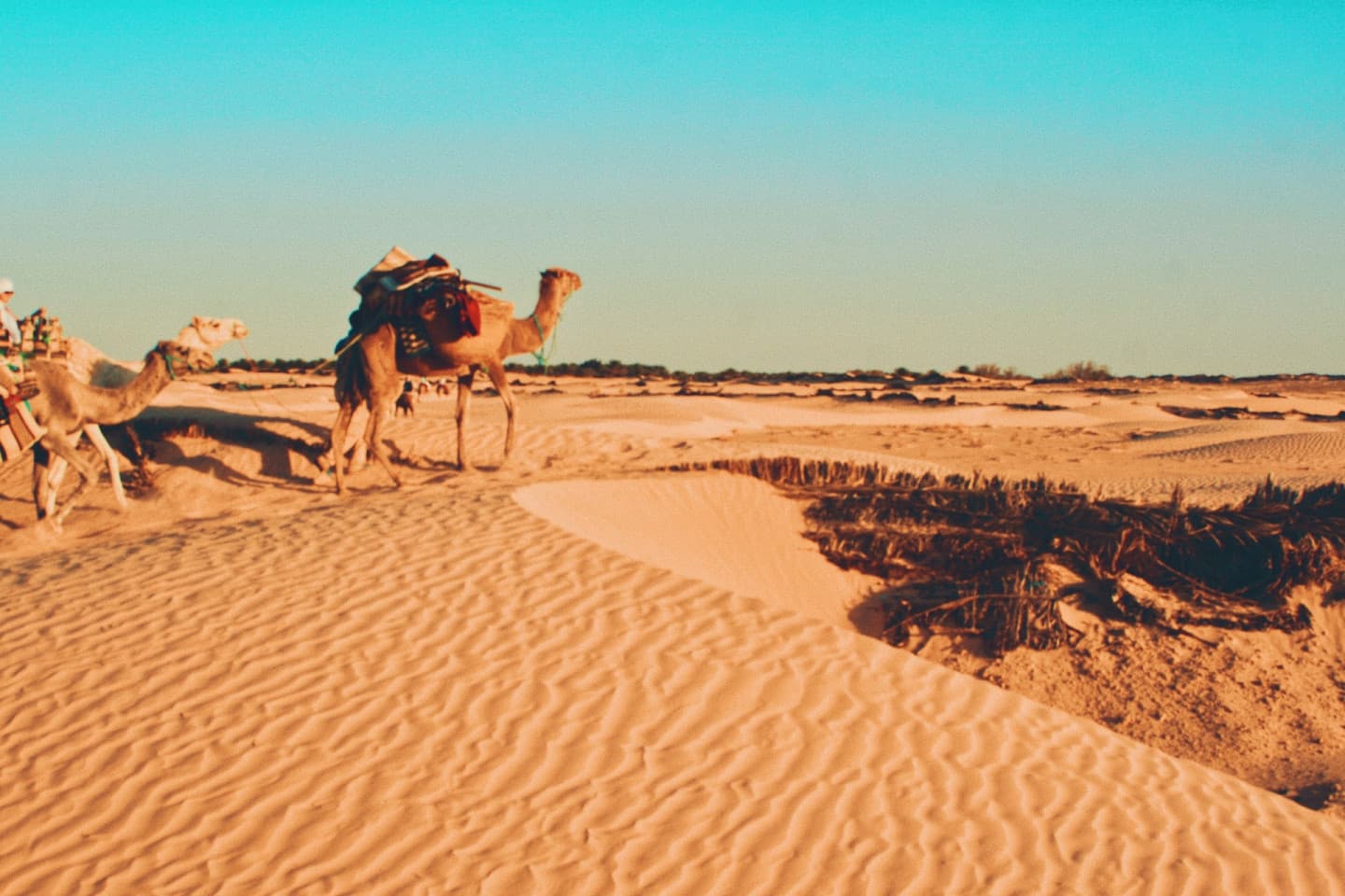 Tunisia