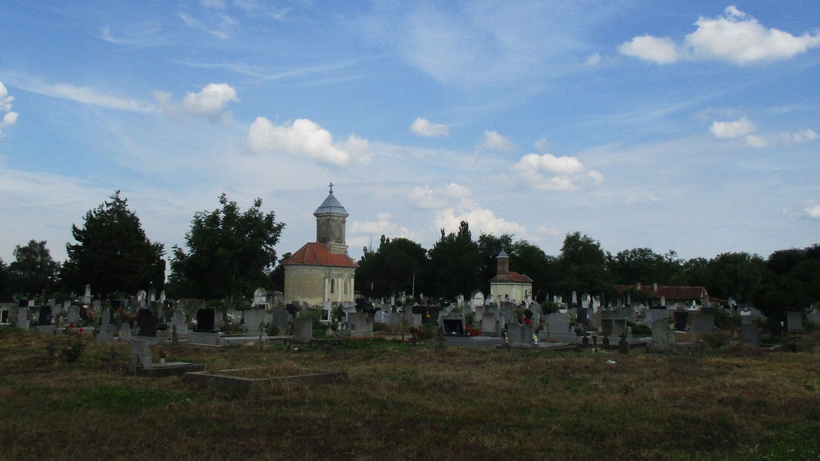 Mokrin