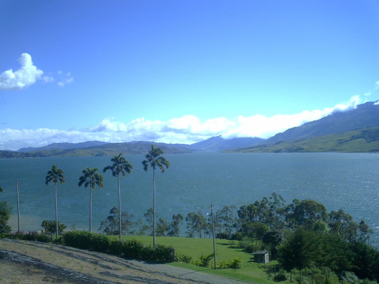 Calima