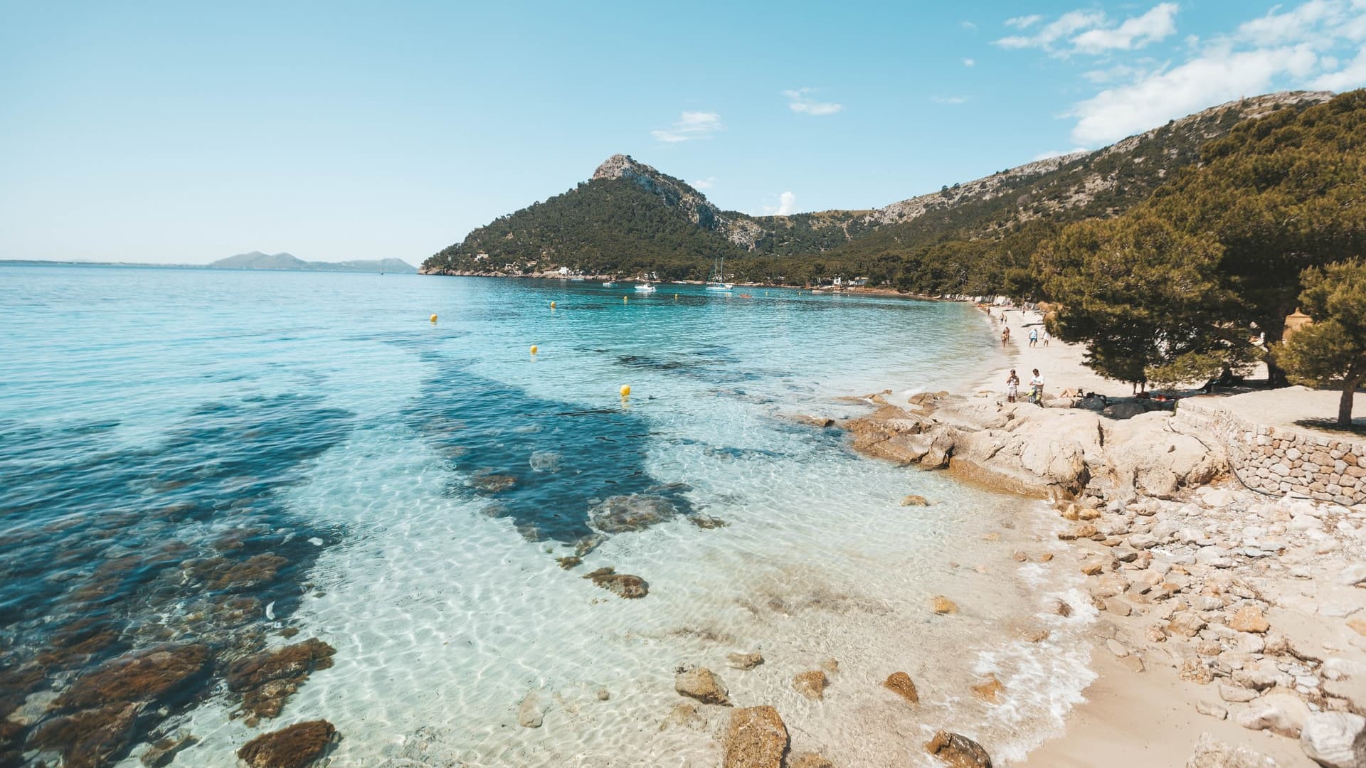 Maiorca
