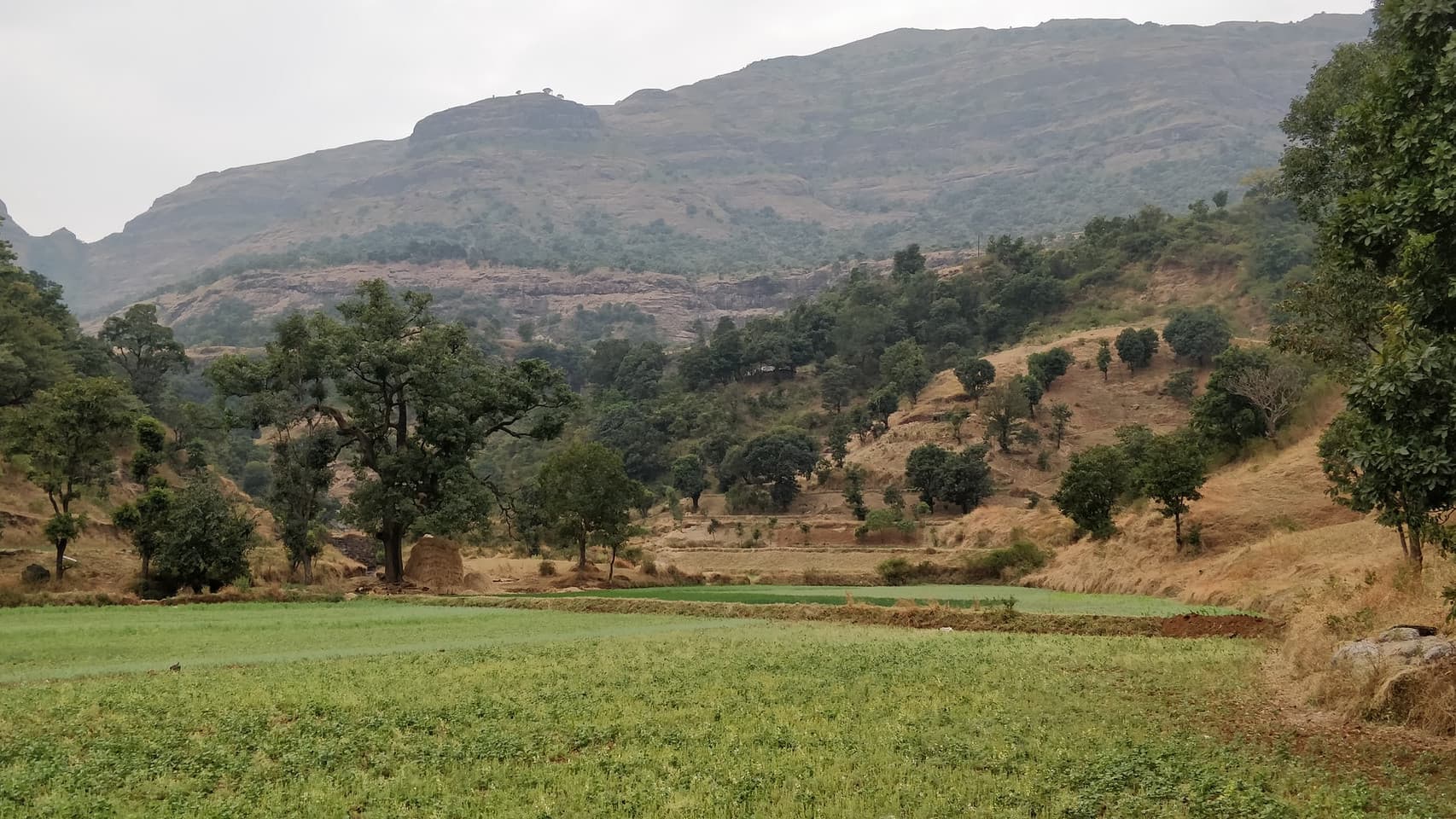 Indore