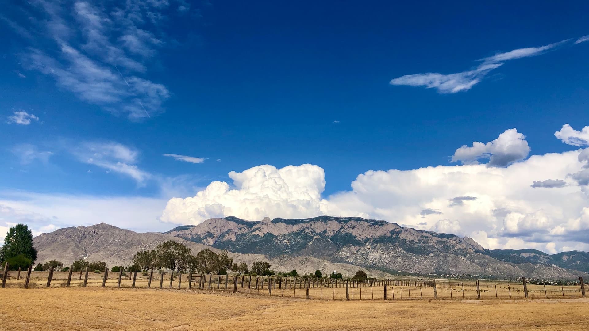 Albuquerque