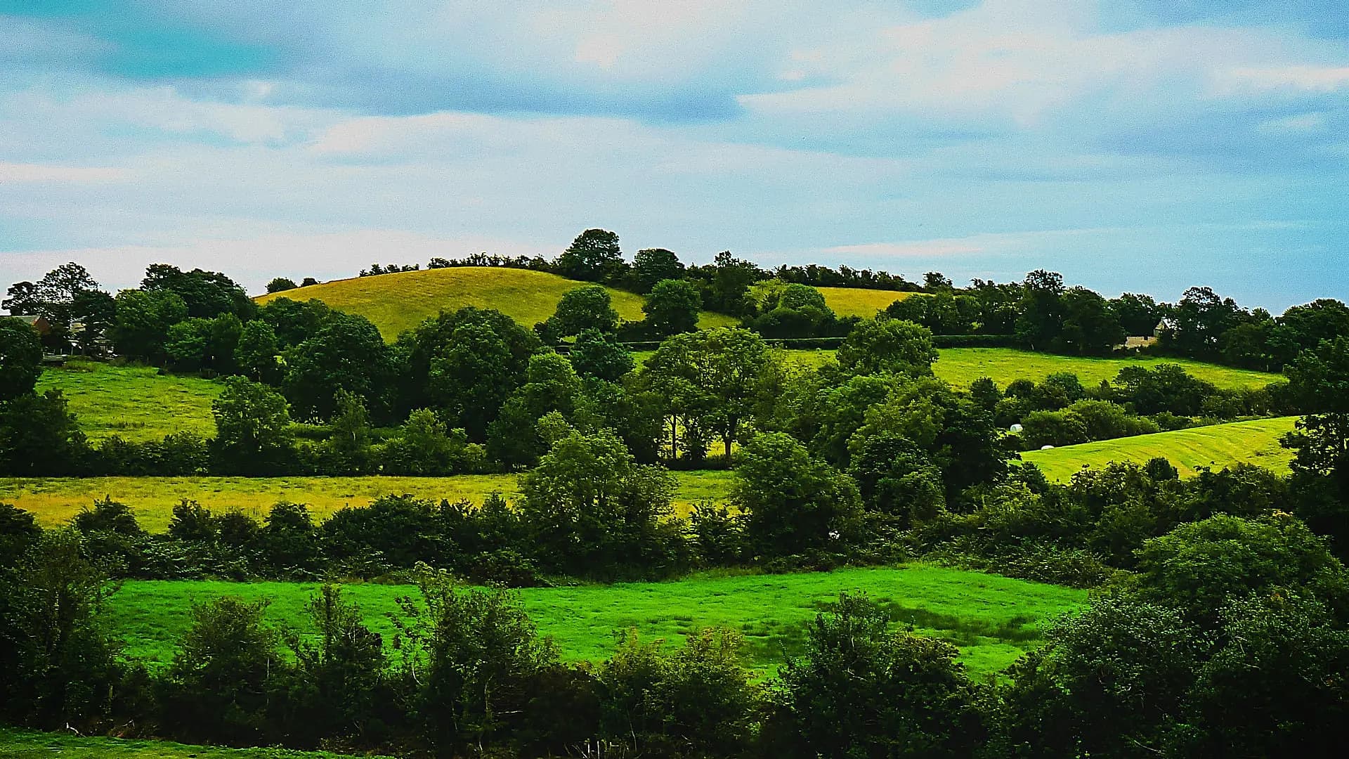 Belfast