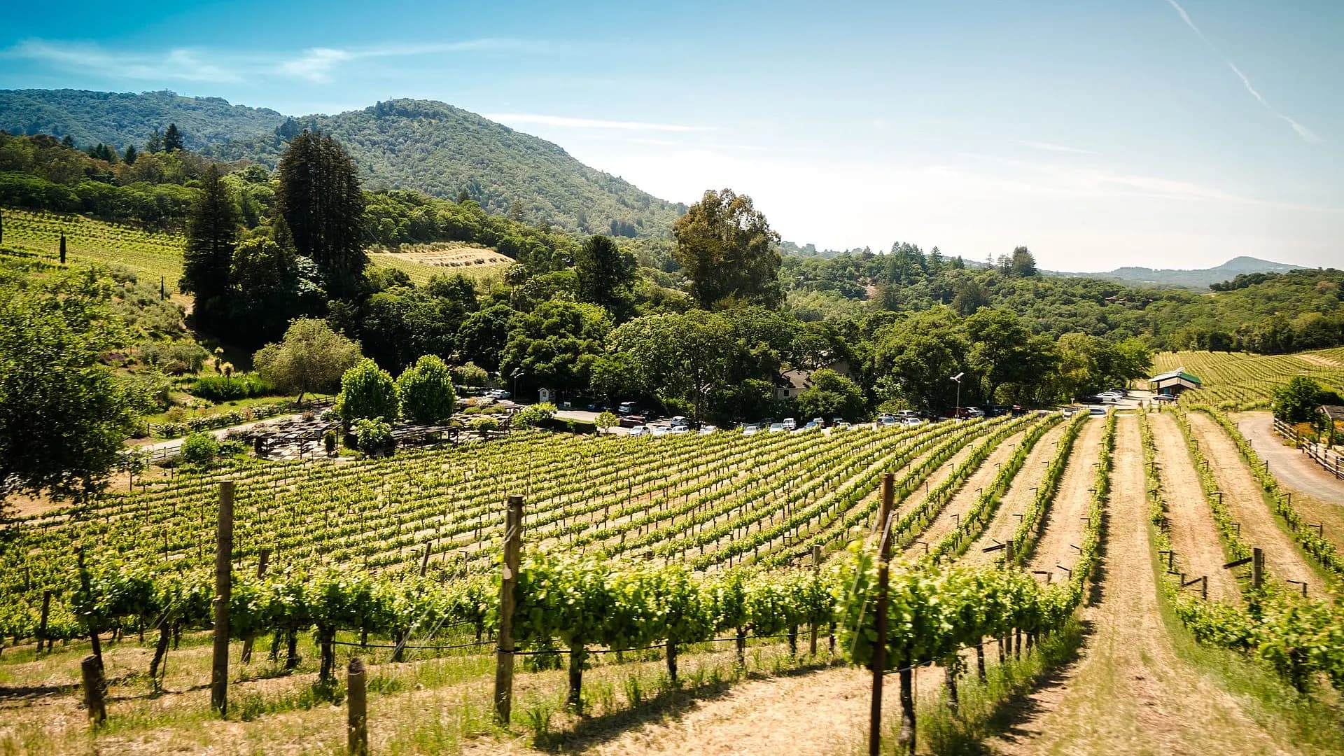 Sonoma