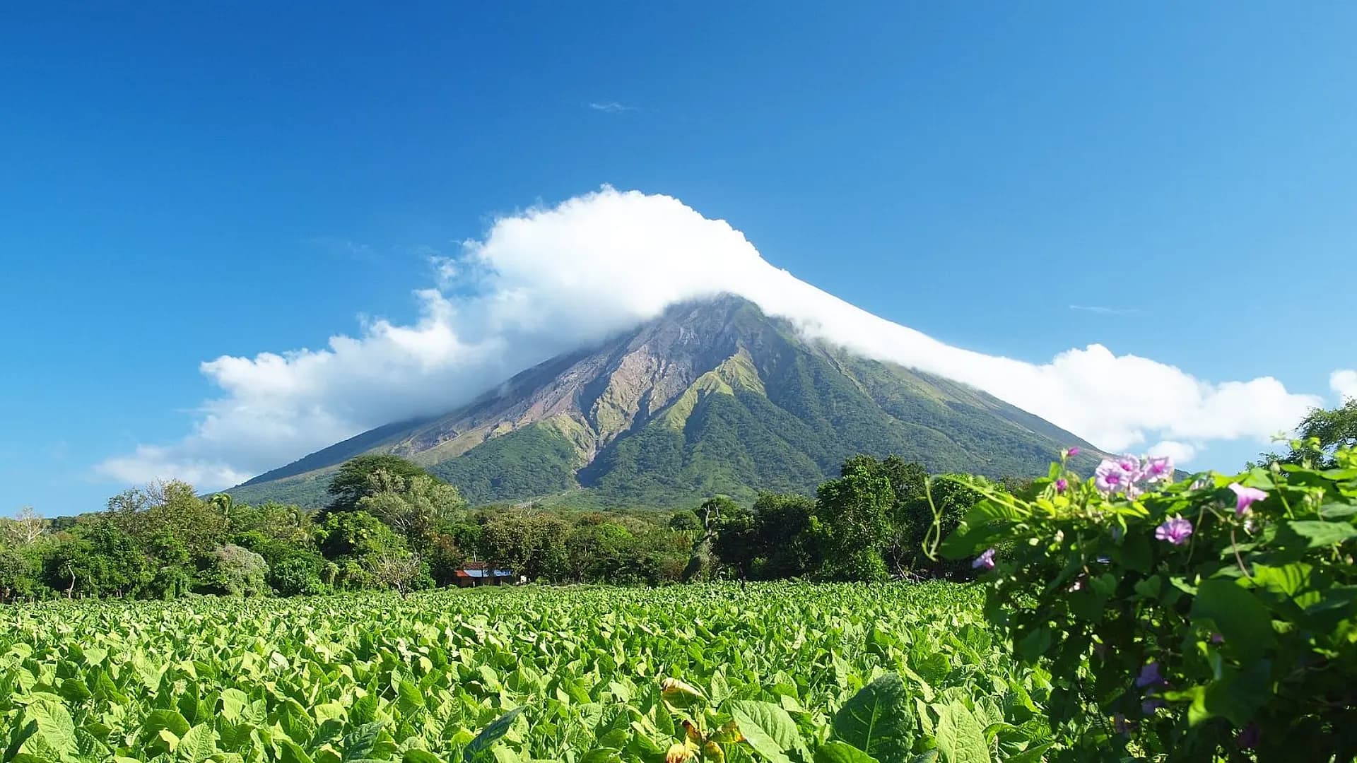 Nicaragua