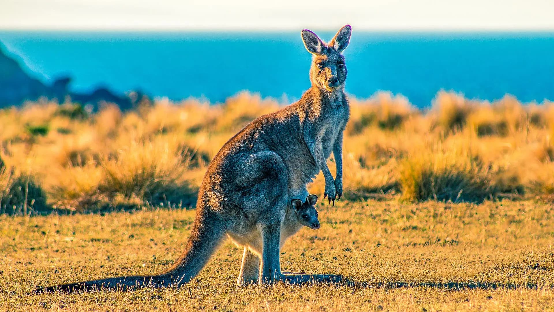 Australia