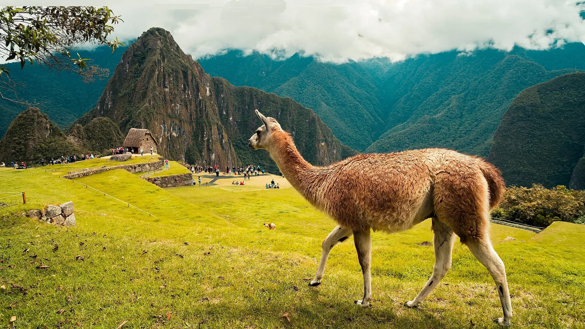 Peru