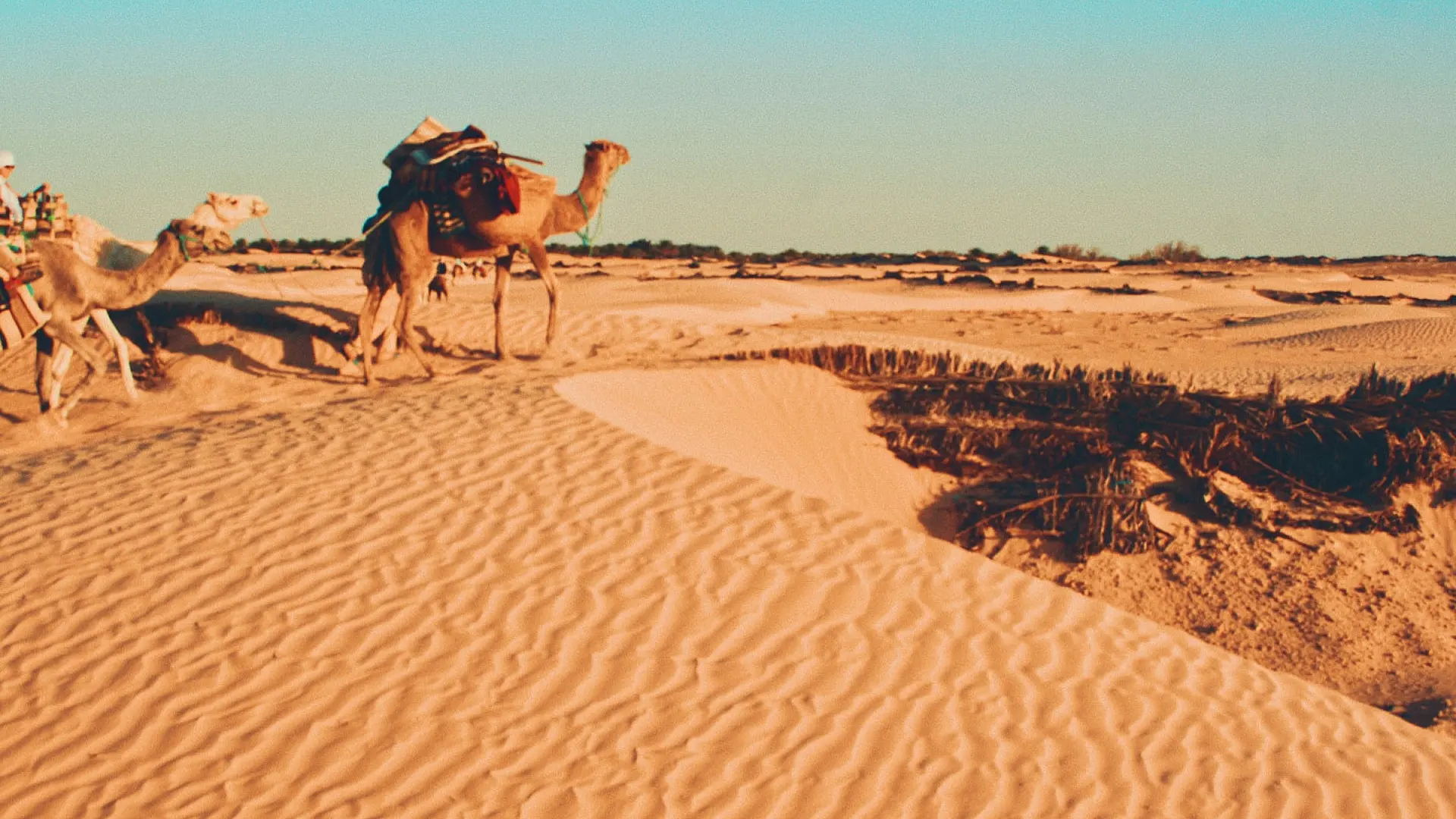 Tunisia