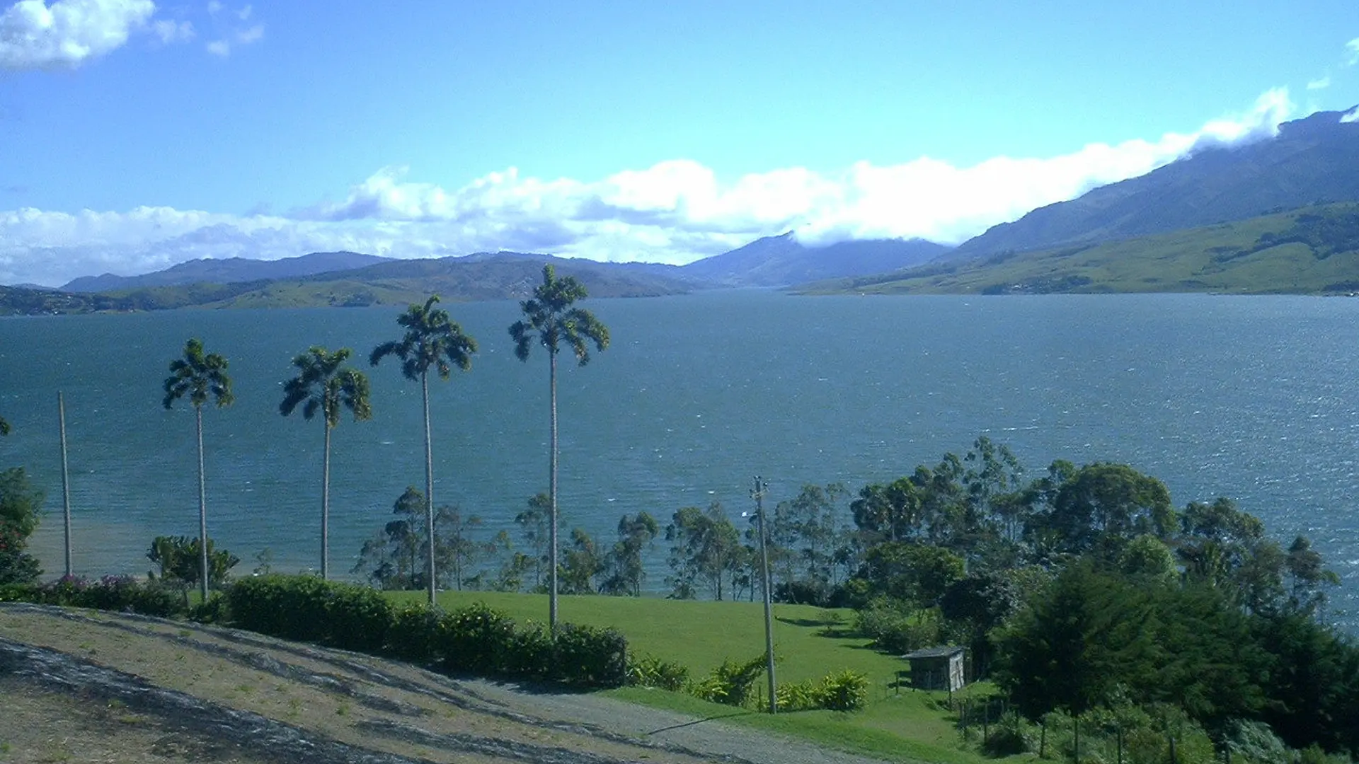 Calima