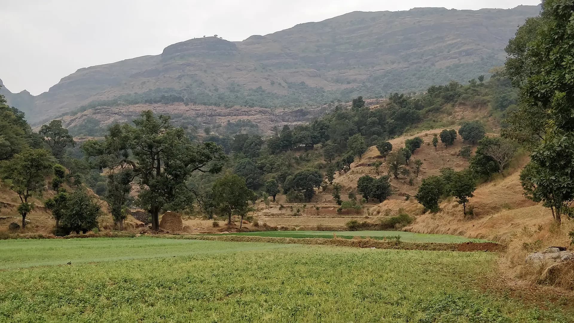 Indore