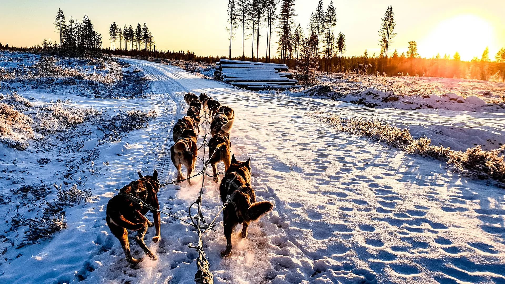 Finlandia