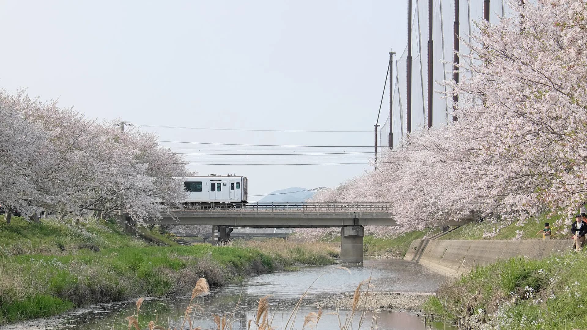 Fukuoka