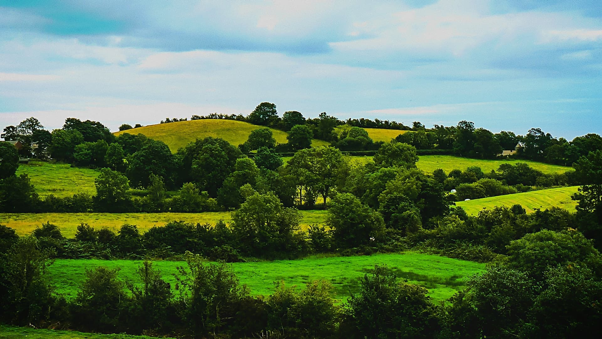 Belfast