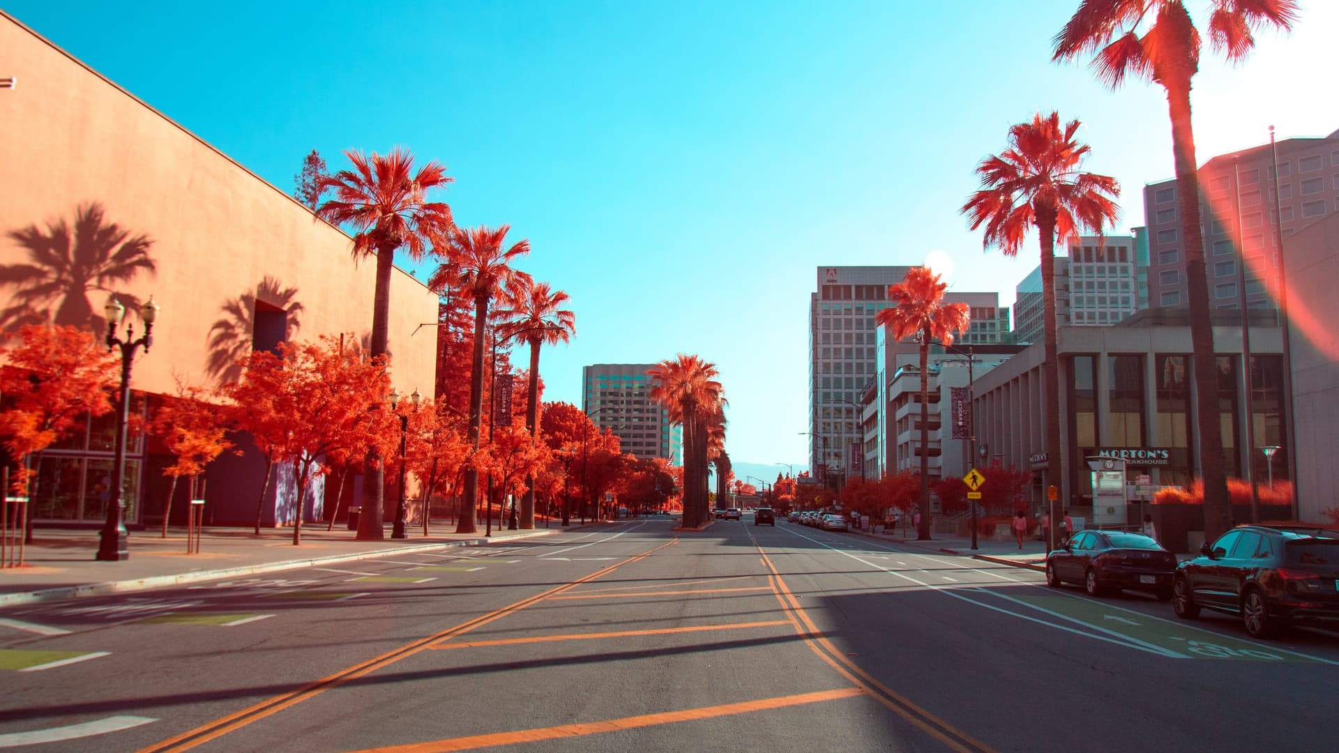 San Jose